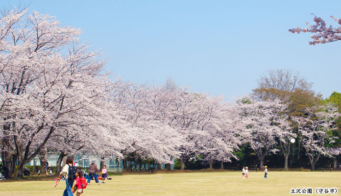 さくら運動公園