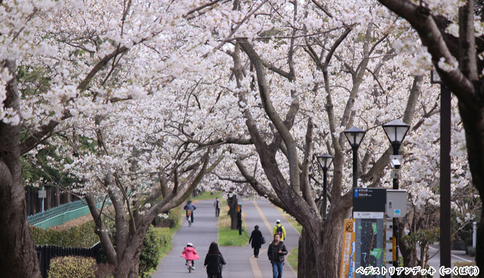 四季の里公園